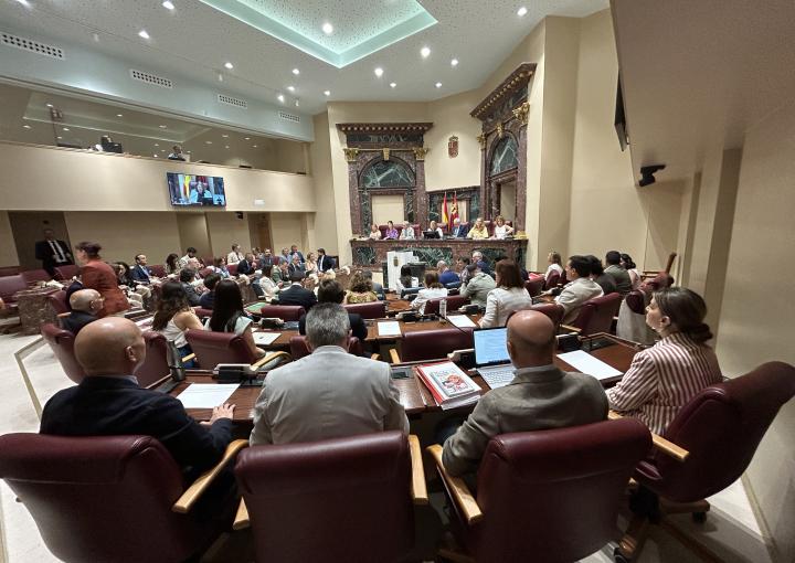 Reunión del Pleno de la Asamblea Regional
